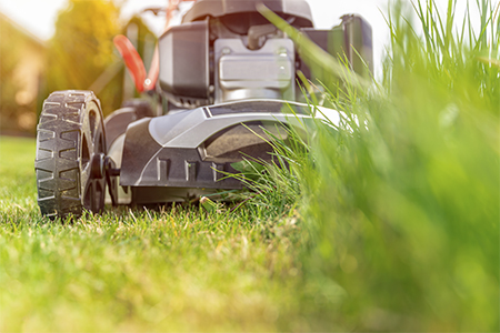 hugo martinez lawncare service home