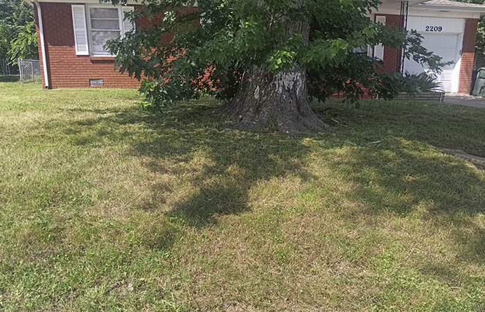 landscaping